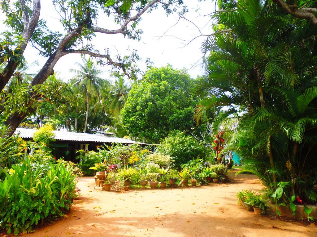 The Nilmini Lodge Sigiriya Buitenkant foto